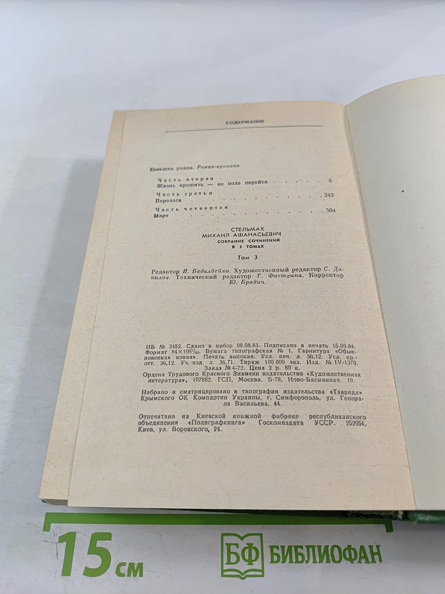 Большая родня. Роман-хроника. Том 3