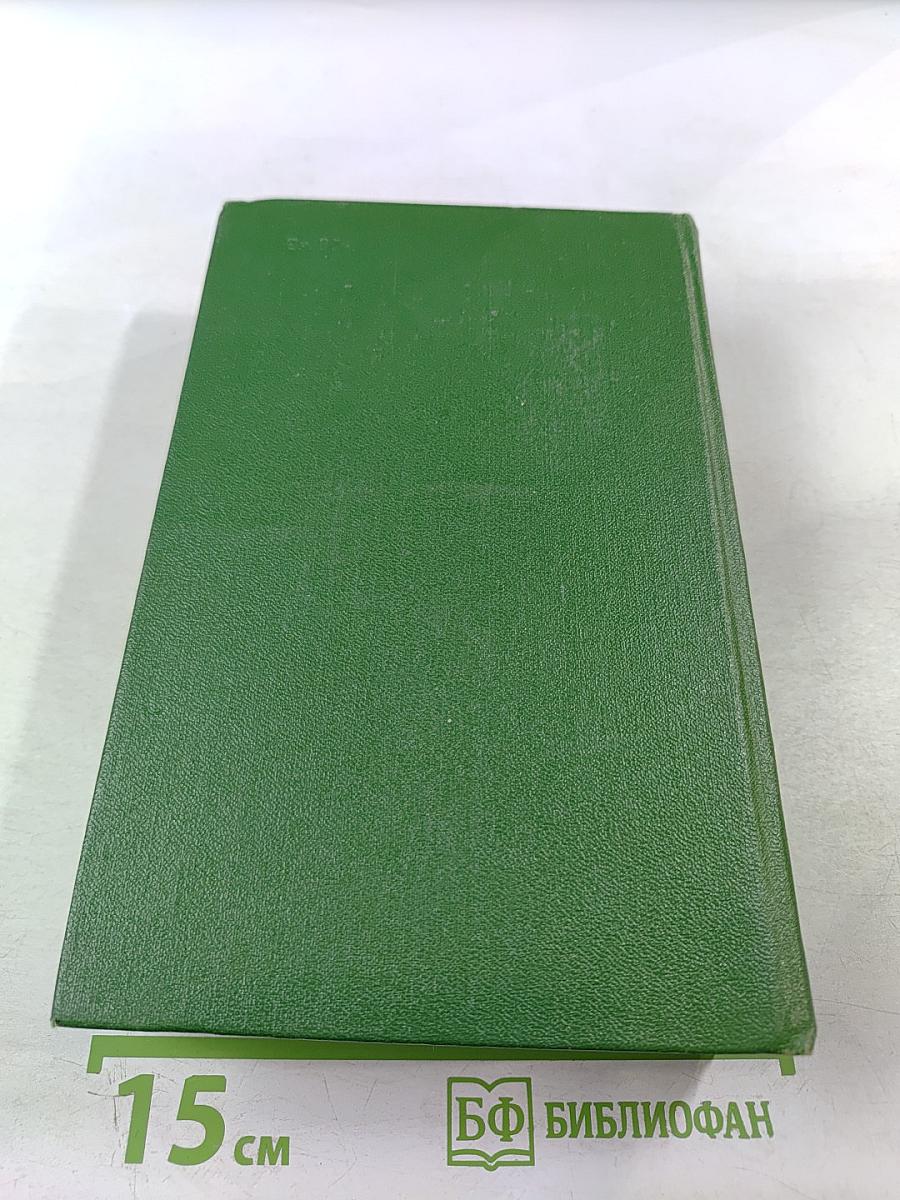 Большая родня. Роман-хроника. Том 3