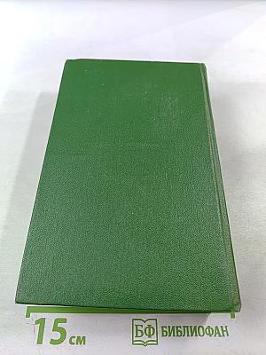 Большая родня. Роман-хроника. Том 3