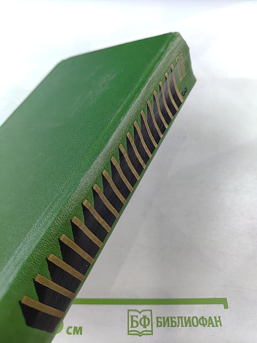 Большая родня. Роман-хроника. Том 3