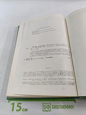 Физика микромира. Маленькая энциклопедия