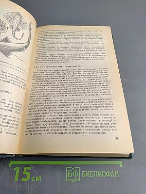 Зоология позвоночных