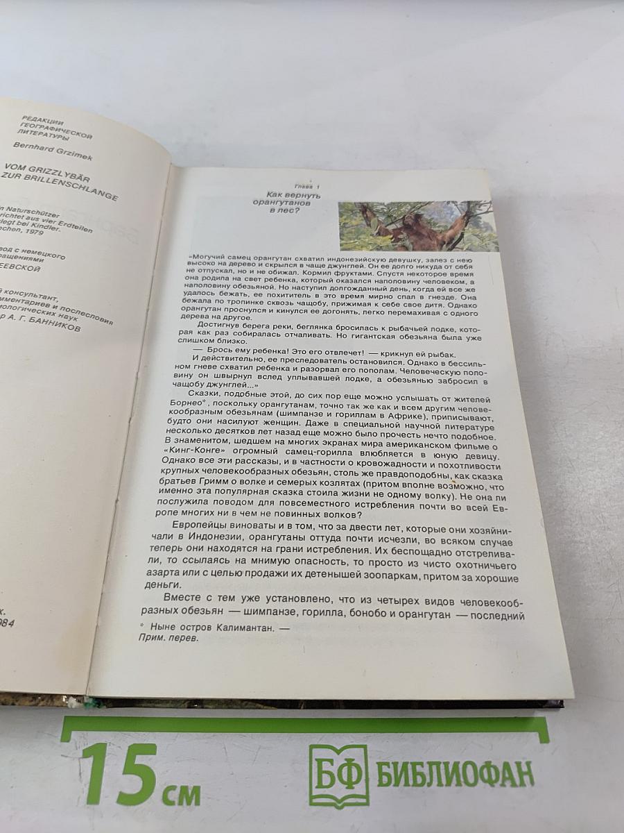 От кобры до медведя гризли