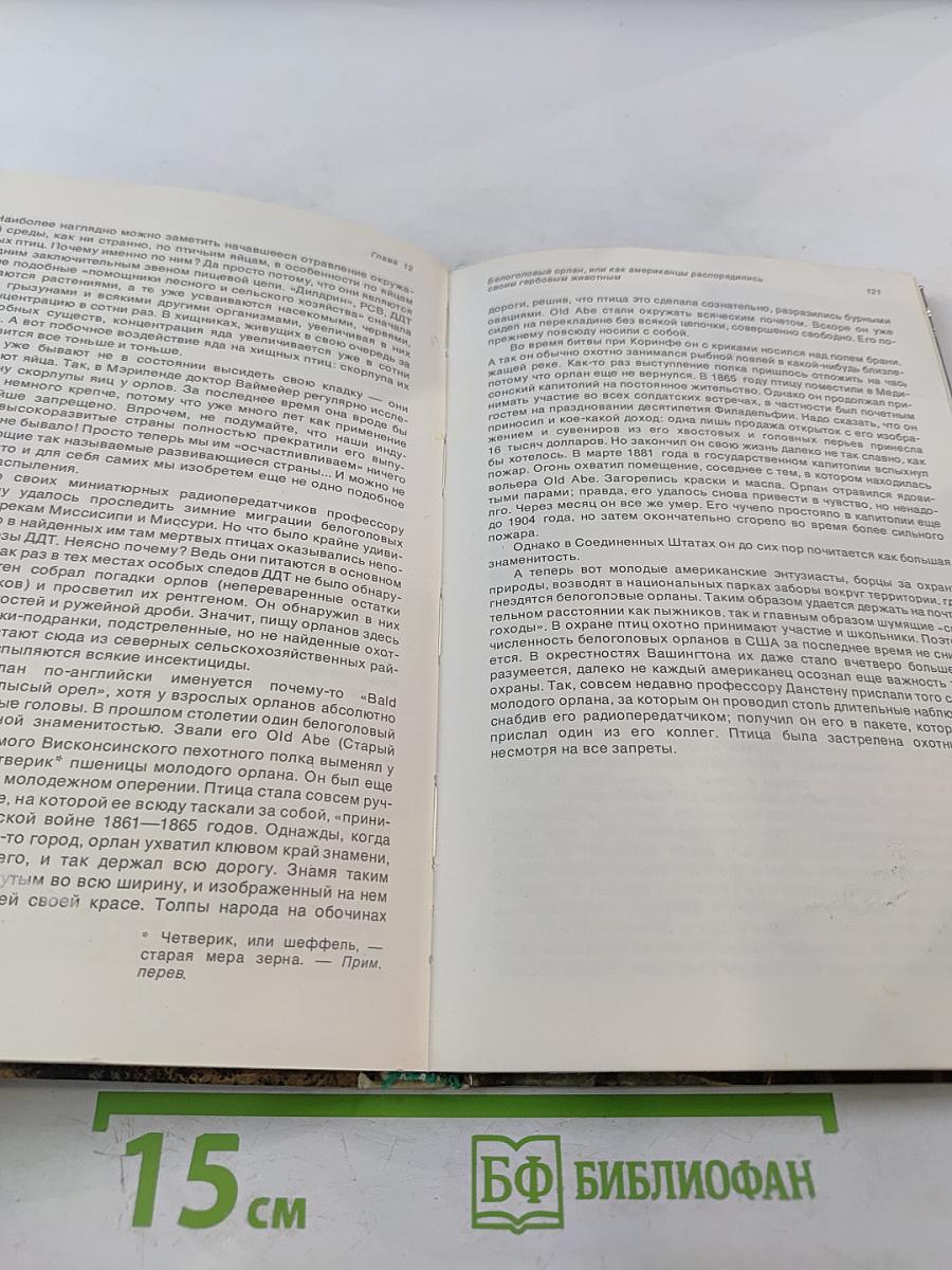 От кобры до медведя гризли