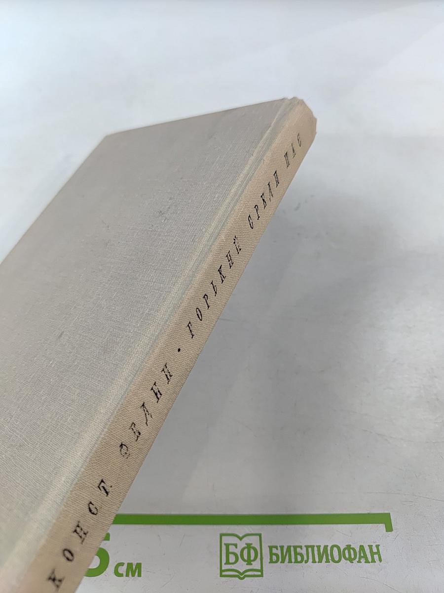 Горький среди нас