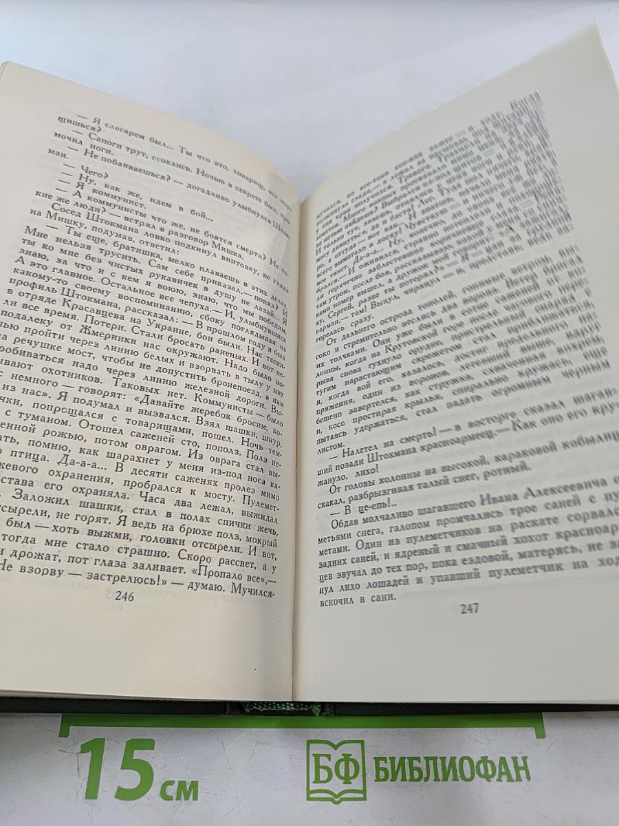 Тихий Дон. Книга третья. Том 4