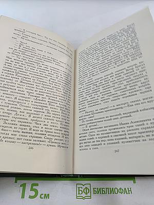 Тихий Дон. Книга третья. Том 4