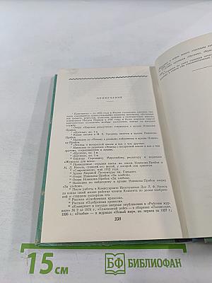 Новиков-Прибой: Повесть о писателе и друге