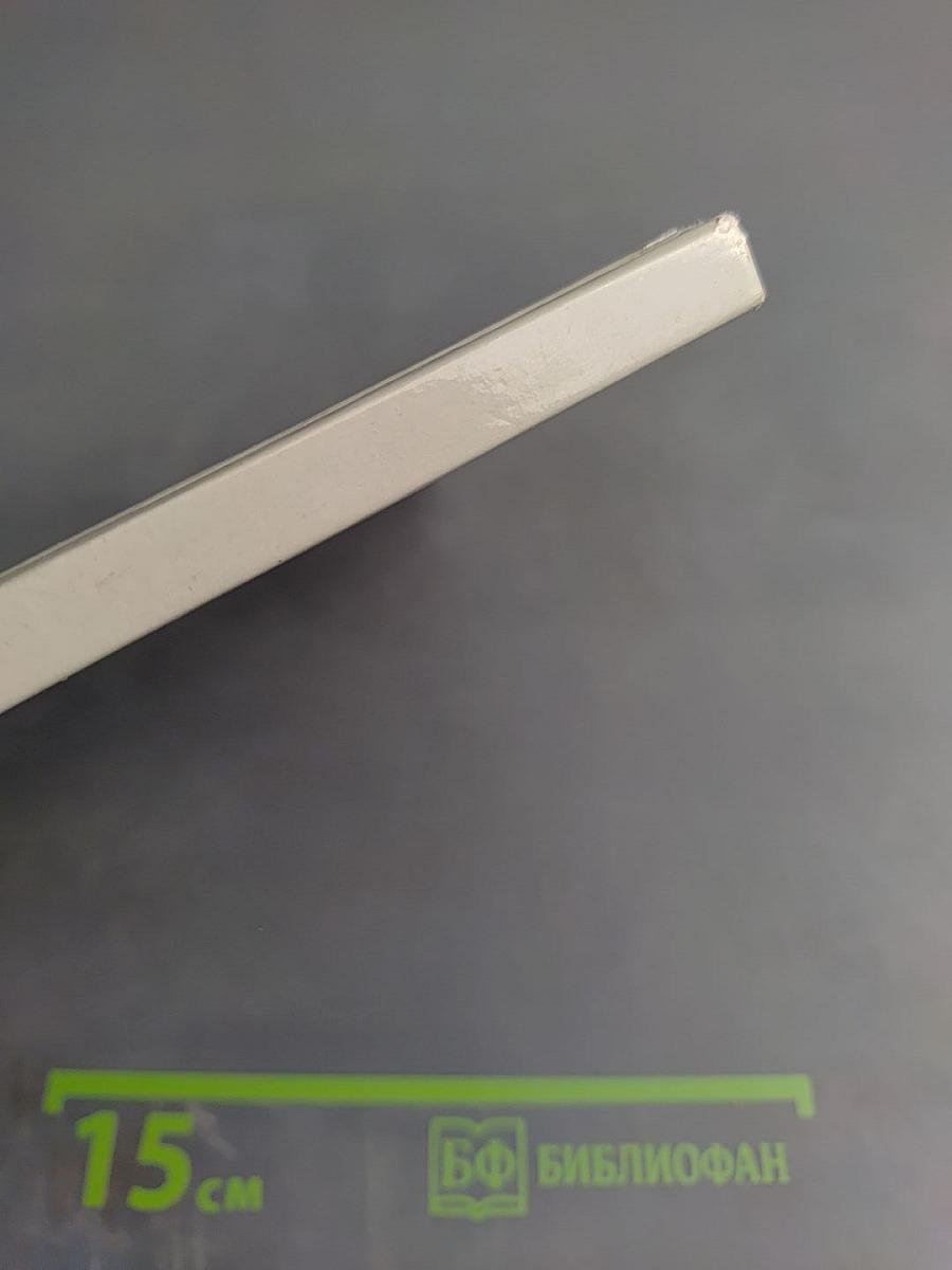 Нидерландская живопись XV-XVI веков в Эрмитаже. Очерк-путеводитель