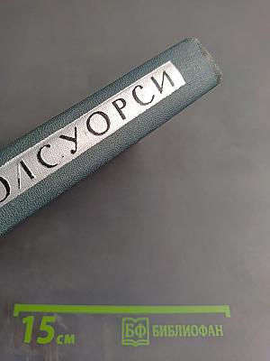 Собрание сочинений в 16 томах. Том XIII. Борванец. Моментальные снимки