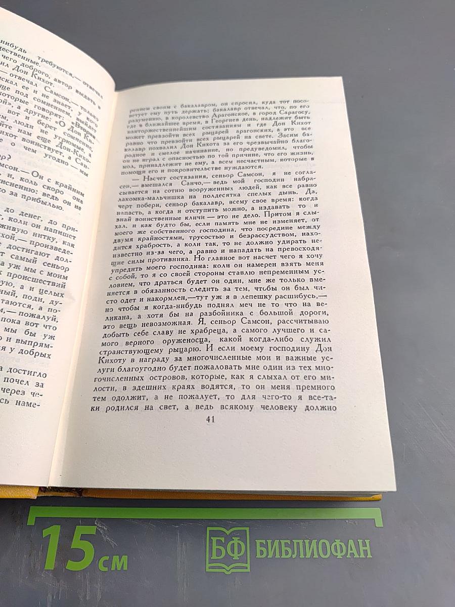 Хитроумный идальго Дон Кихот Ламанчский. Часть вторая