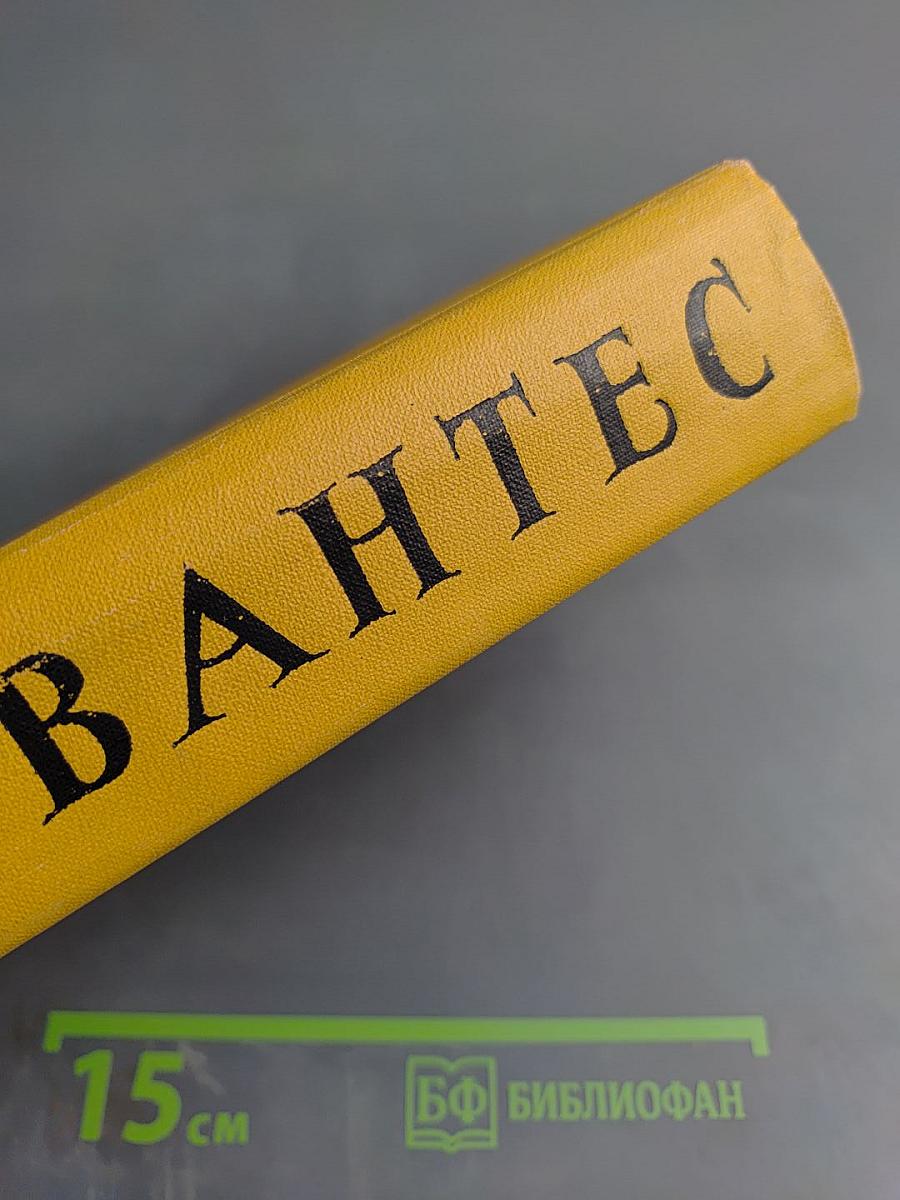 Хитроумный идальго Дон Кихот Ламанчский. Часть вторая