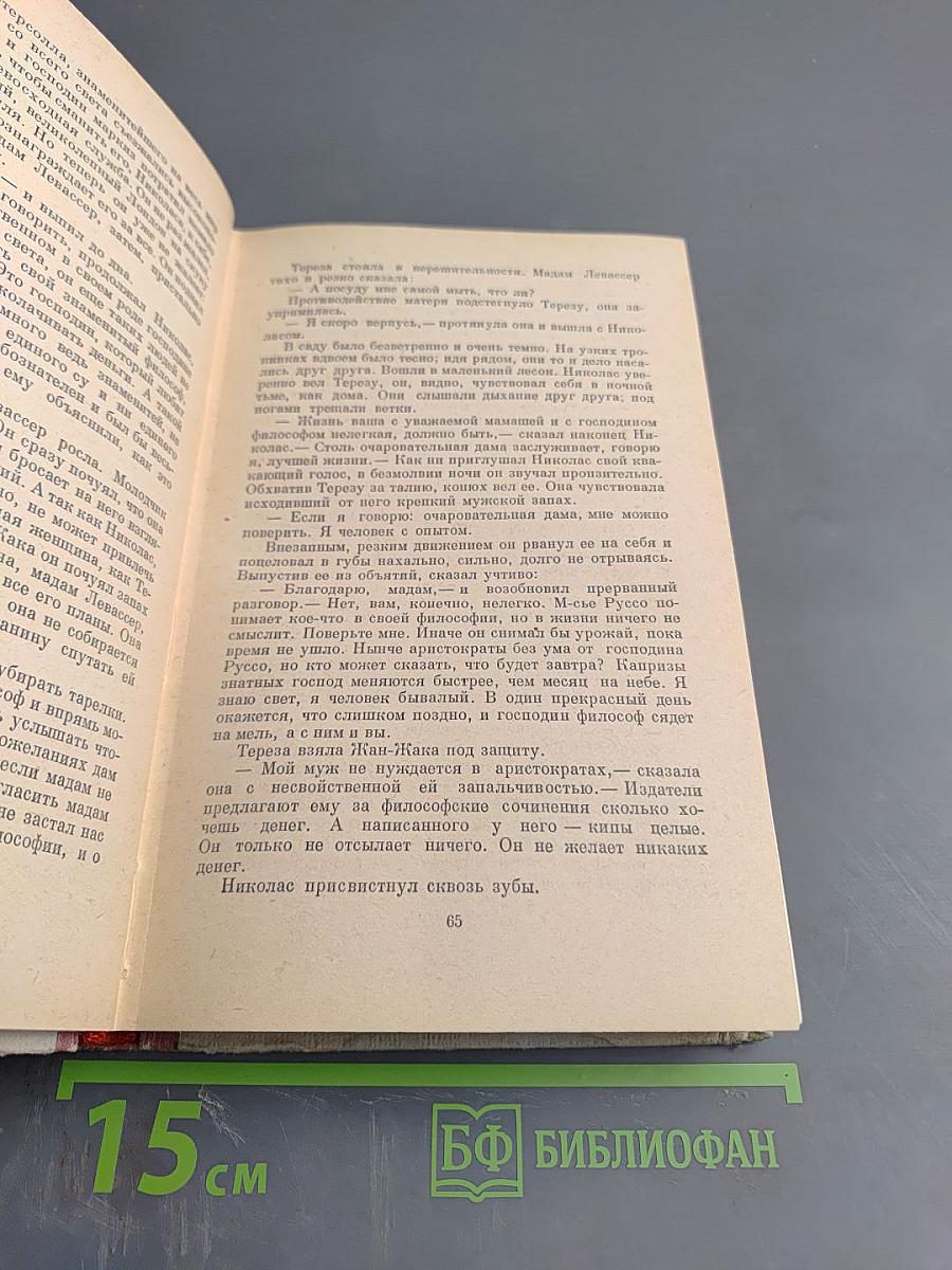 Мудрость чудака, или Смерть и преображение Жан-Жака Руссо