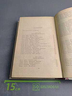 Мудрость чудака, или Смерть и преображение Жан-Жака Руссо