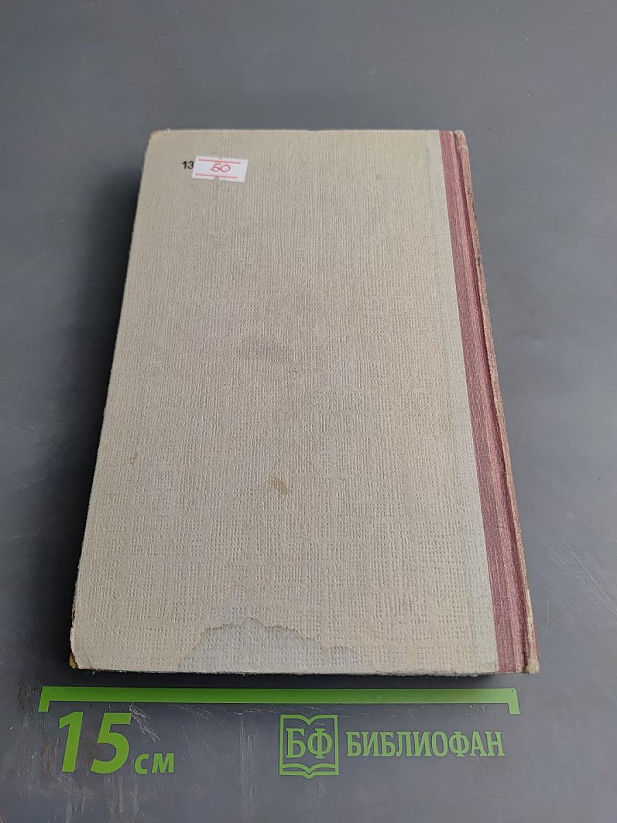 Мудрость чудака, или Смерть и преображение Жан-Жака Руссо