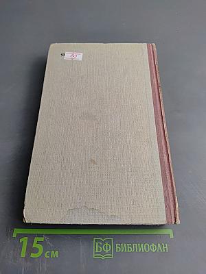 Мудрость чудака, или Смерть и преображение Жан-Жака Руссо