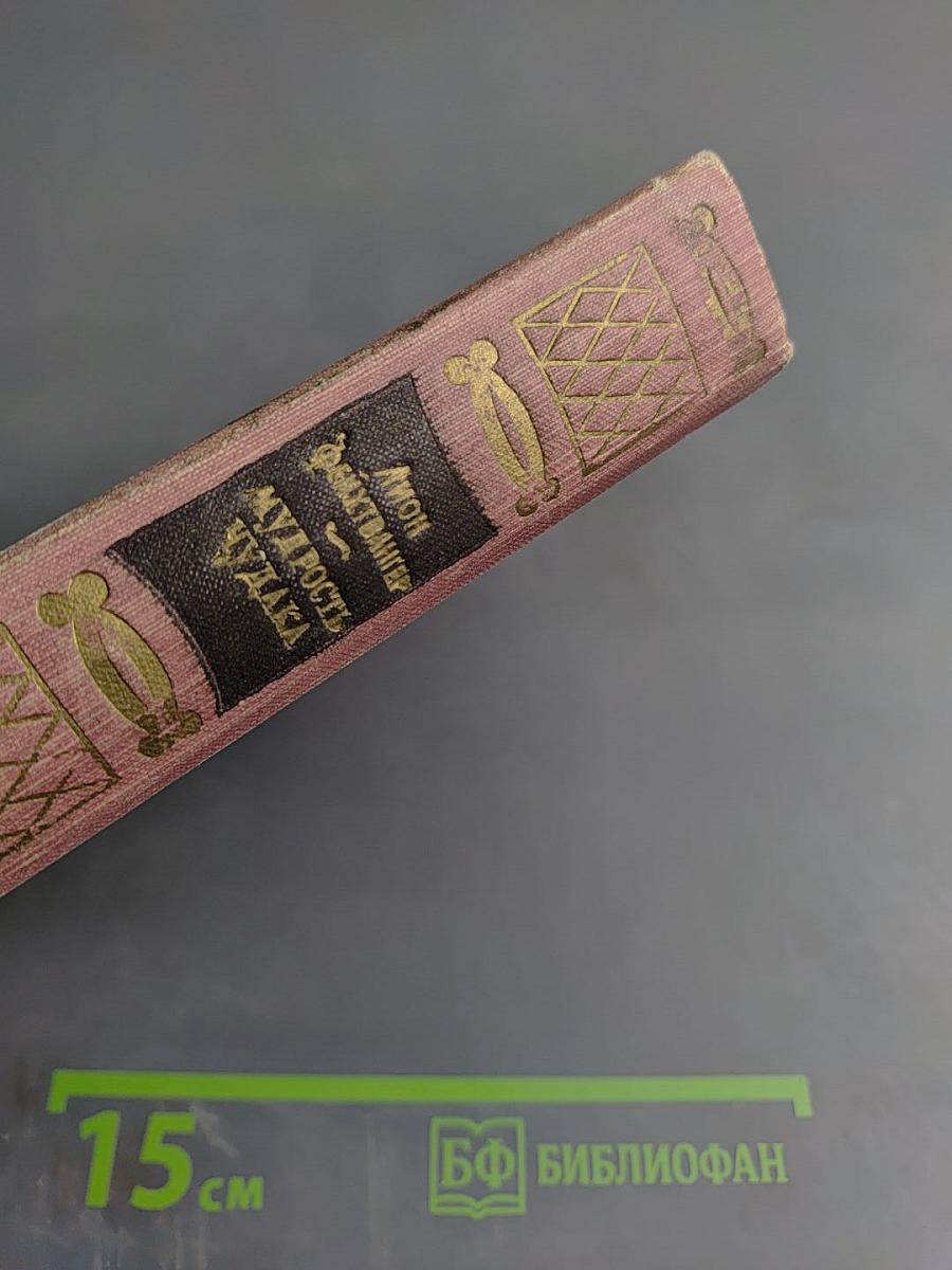 Мудрость чудака, или Смерть и преображение Жан-Жака Руссо