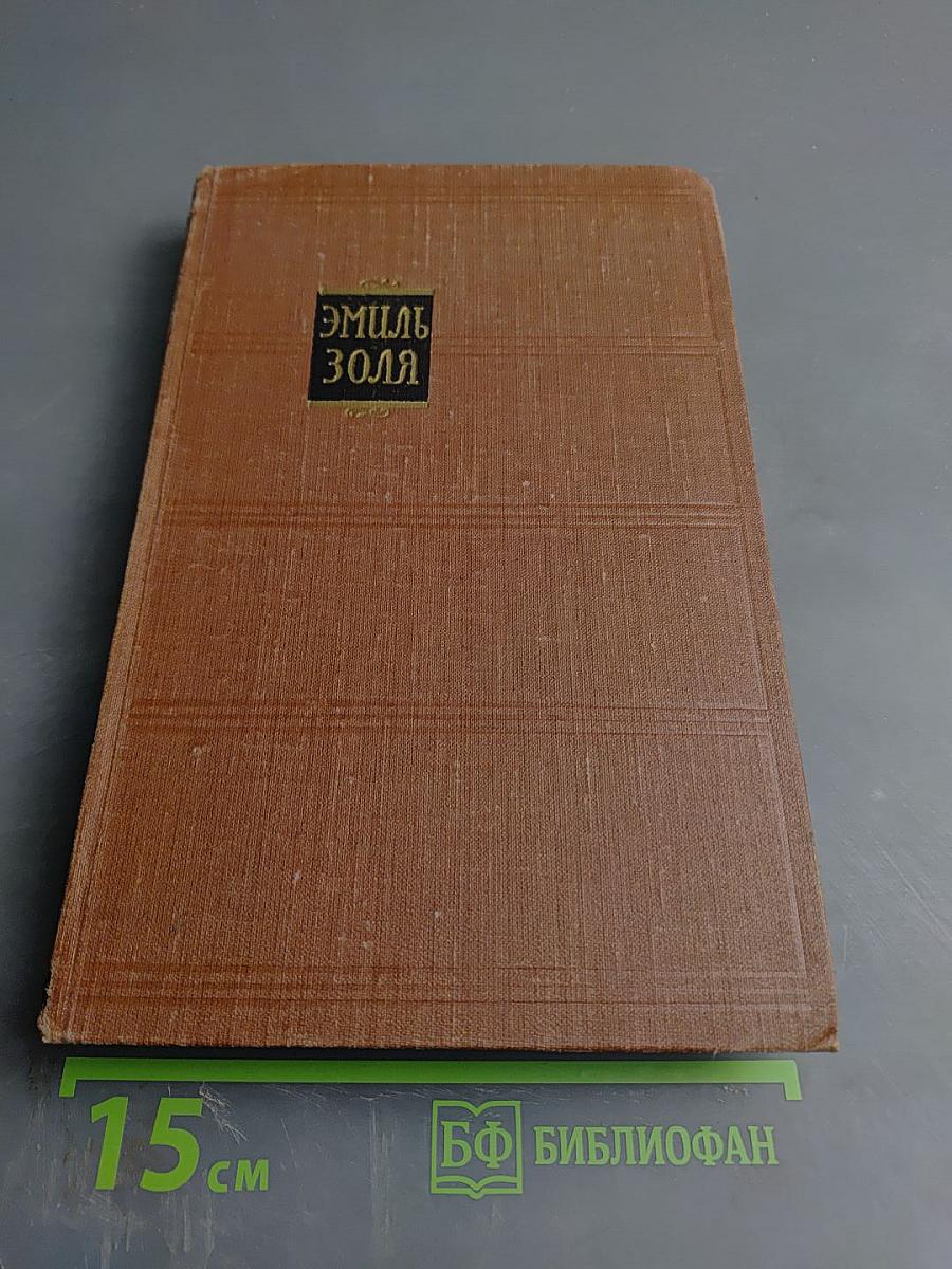 Разгром. Том 15