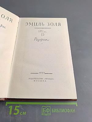 Разгром. Том 15