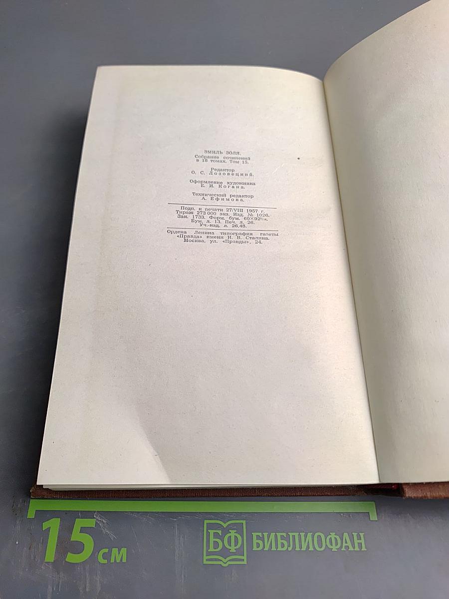 Разгром. Том 15