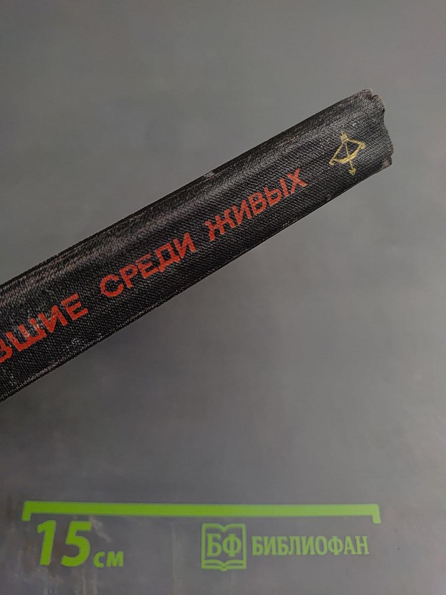 Пропавшие среди живых