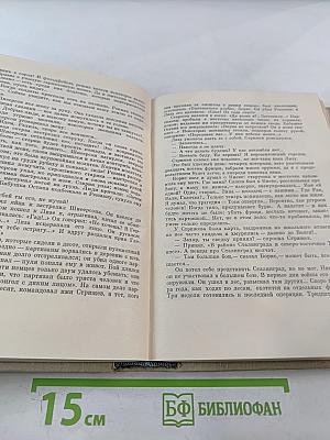 Буря. Том пятый