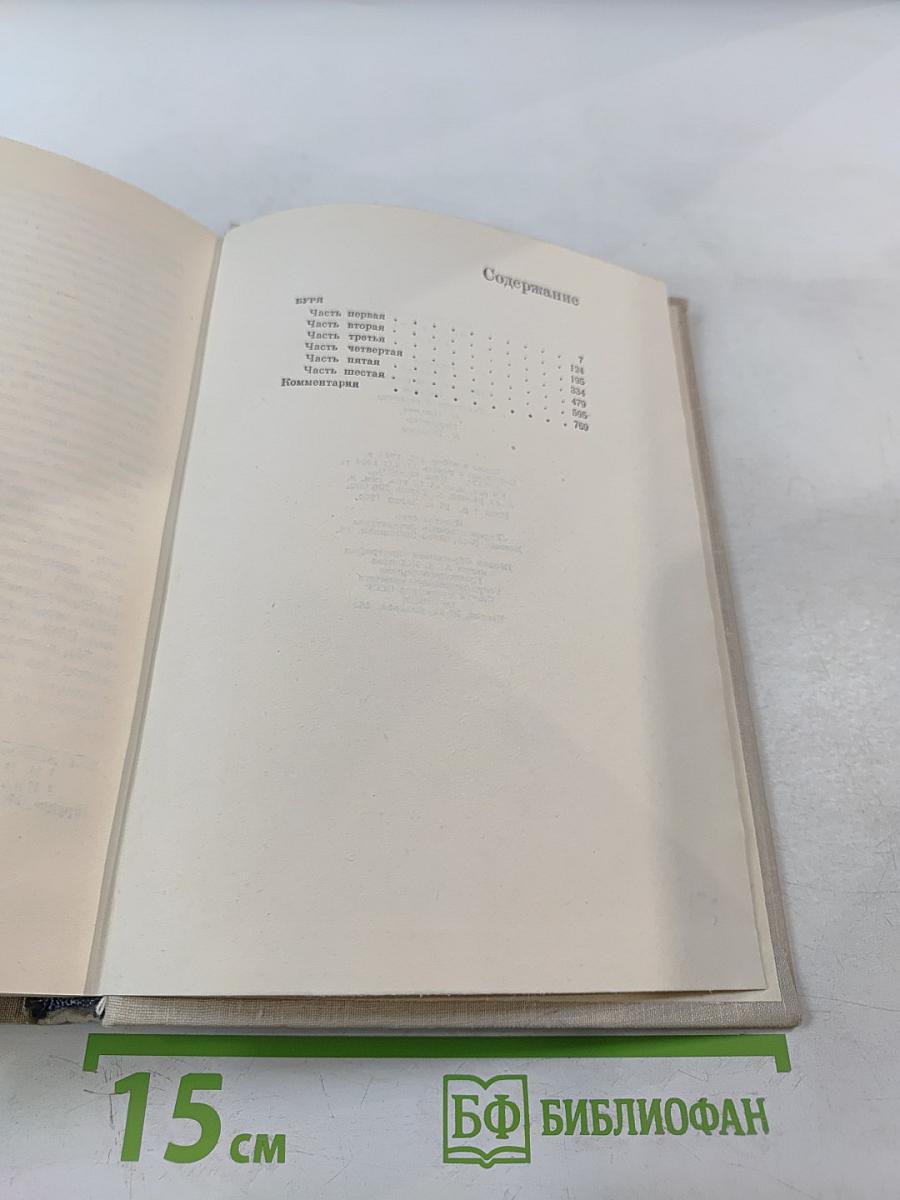 Буря. Том пятый