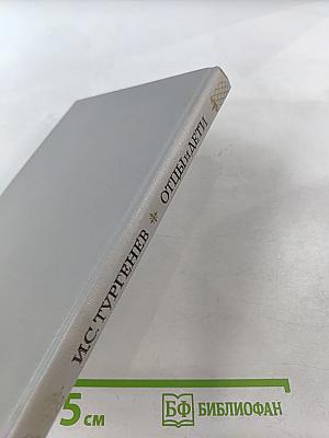 Отцы и дети