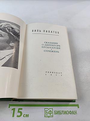 Сказание о директоре Прончатове. Стрежень