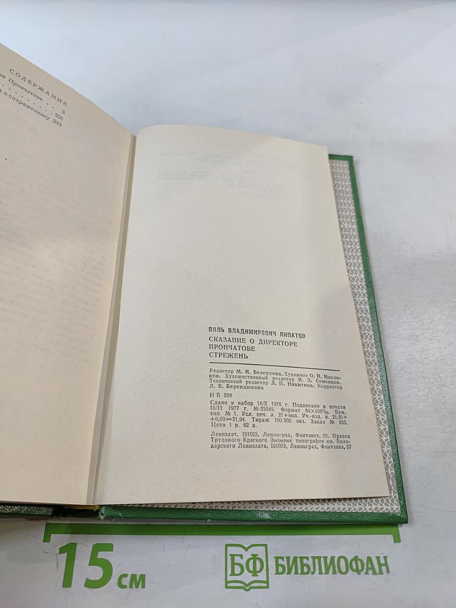 Сказание о директоре Прончатове. Стрежень