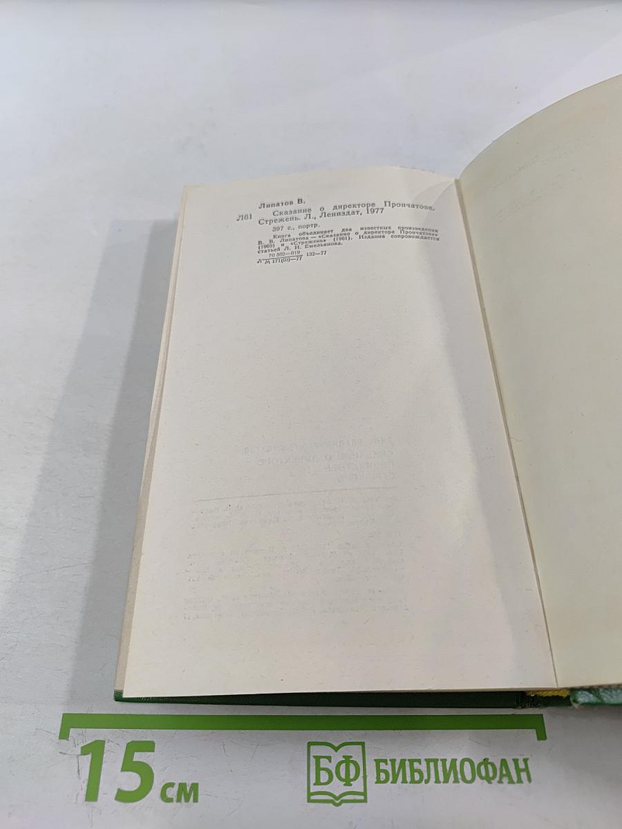 Сказание о директоре Прончатове. Стрежень