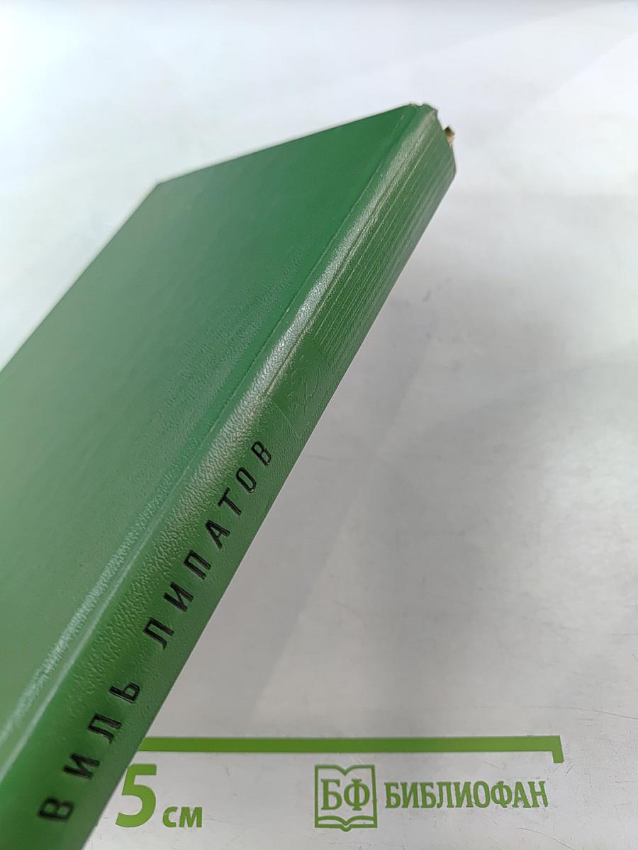 Сказание о директоре Прончатове. Стрежень