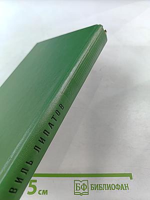 Сказание о директоре Прончатове. Стрежень