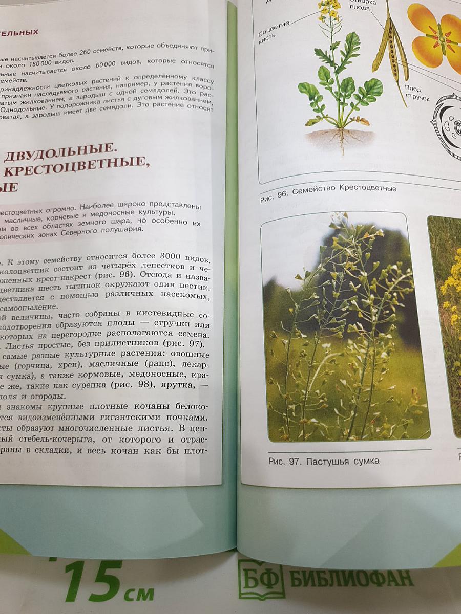 Биология 6 класс