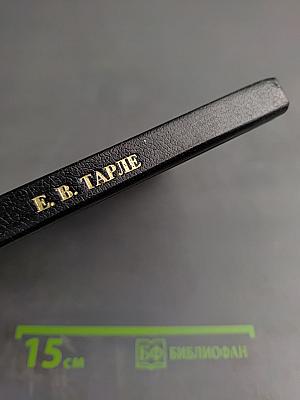 Русский флот и внешняя политика Петра I