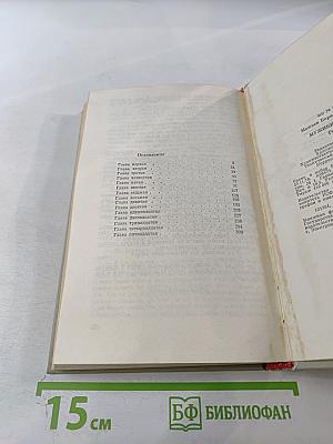 Мужики и бабы