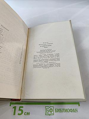 Мужики и бабы