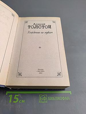 Хождение по мукам