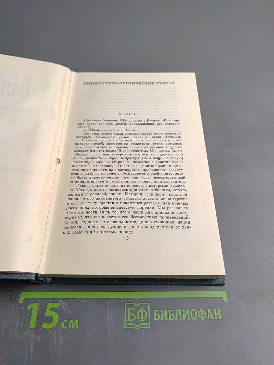 Собрание сочинений в 24 томах. Том 21. Литературно-критические статьи
