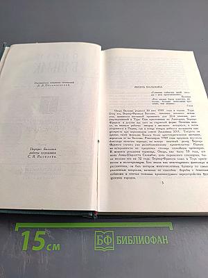 Человеческая комедия (Собрание сочинений в 24 томах. Том 1)