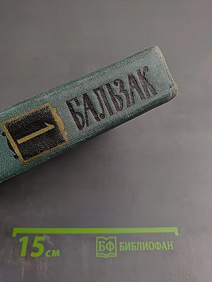 Человеческая комедия (Собрание сочинений в 24 томах. Том 1)