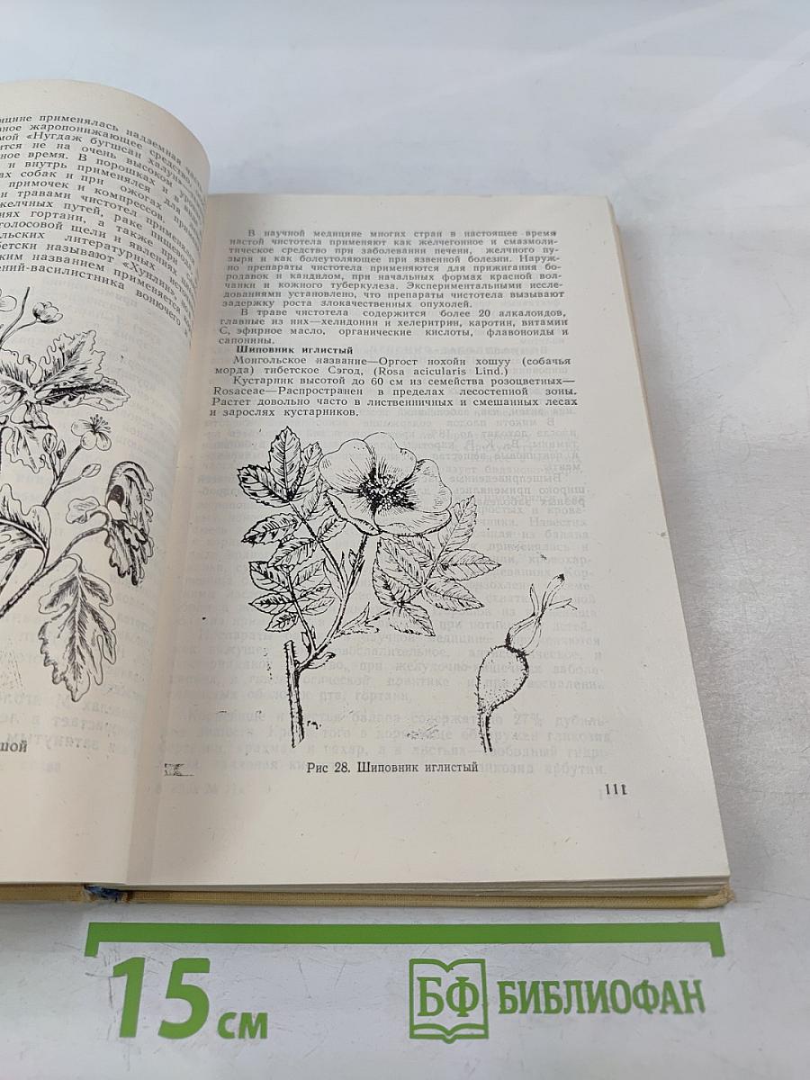 Лекарственные растения в монгольской медицине