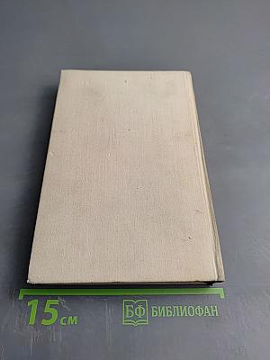 Власть без славы. Книга первая