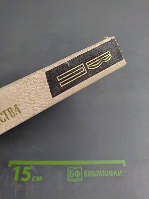 Адъютант его превосходительства