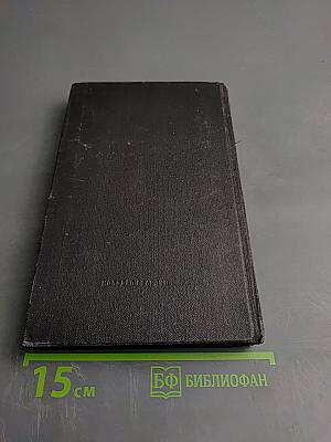 Воздушный казак Вердена