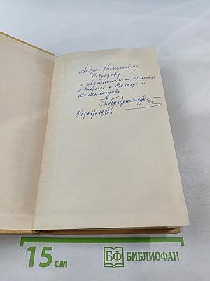 Художник революции. О Дмитрии Фурманове