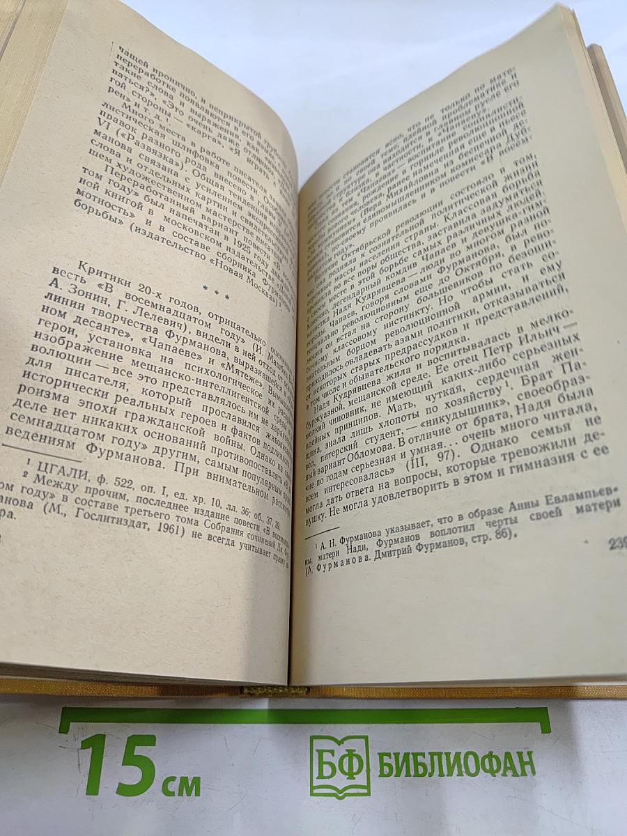 Художник революции. О Дмитрии Фурманове
