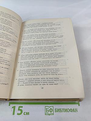 Витязь в тигровой шкуре