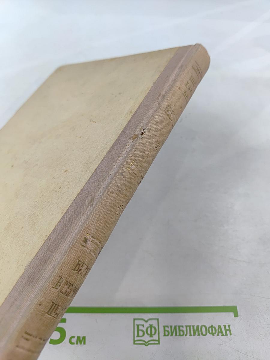 Витязь в тигровой шкуре