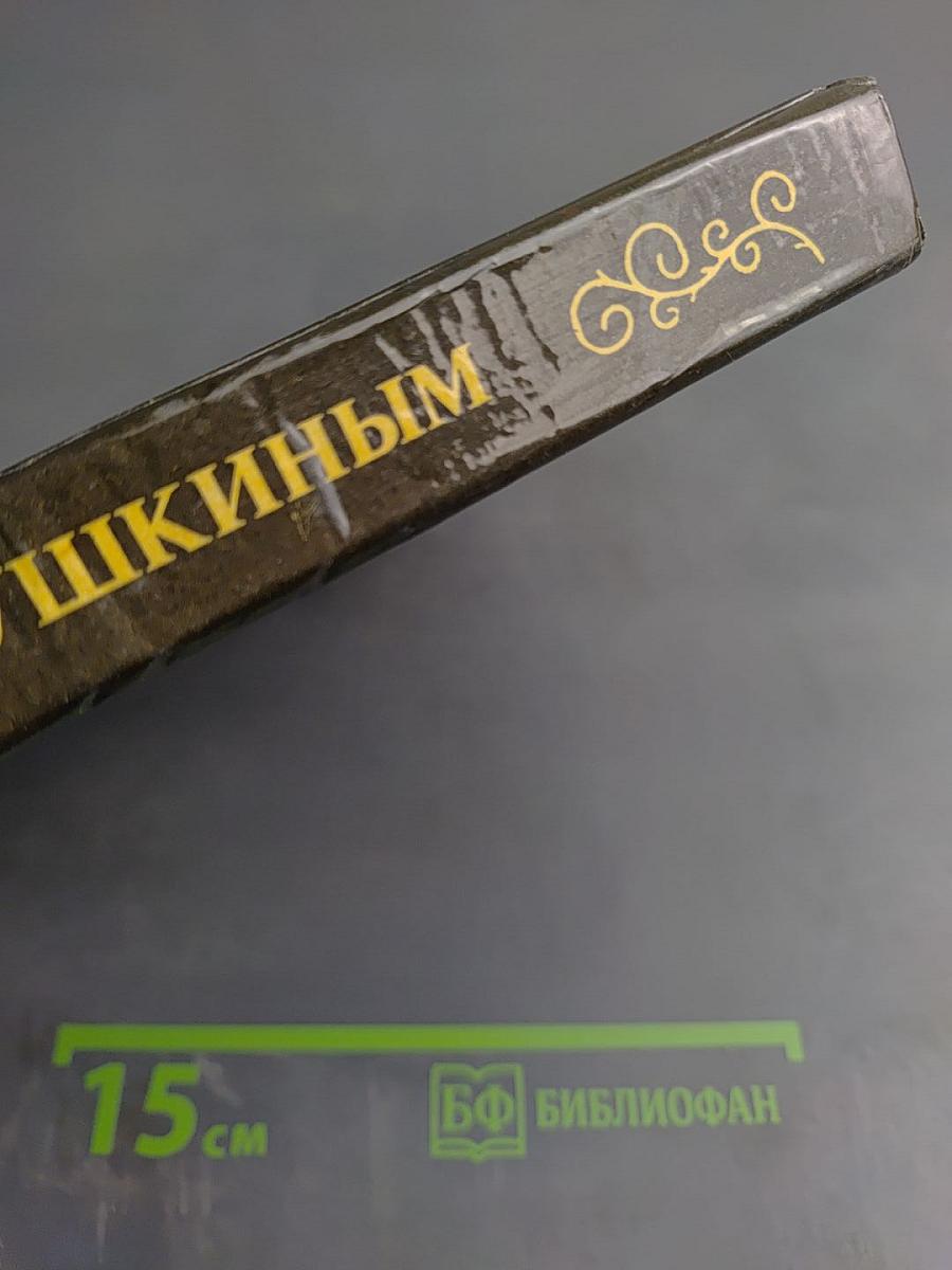 Рядом с Пушкиным. Портреты кистью и пером